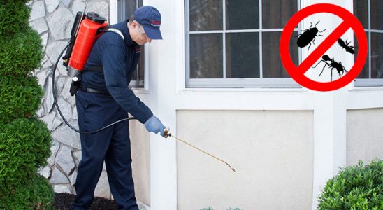 Mucur Bit İlaçlama böcek ilaçlama ve haşere kontrolü — ilaclama-tr.com